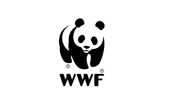 WWF uses Workplace by Facebook